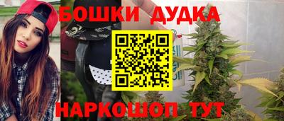молекула духа Будённовск